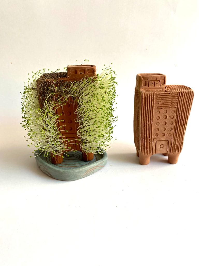 Germinadores-Naturacion-urbana2025080110