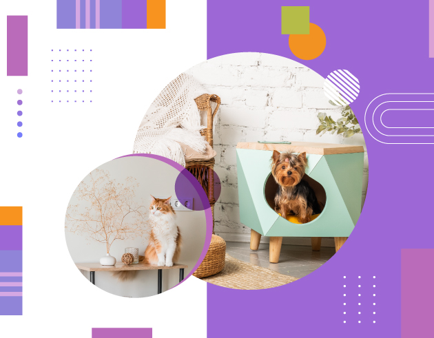 Mudanza: qué hacer para que tu mascota se adapte al cambio